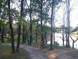 Park in the morning 