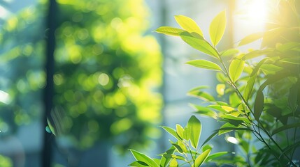 blurred background of ecofriendly modern office building with green trees and sunlight sustainable business concept