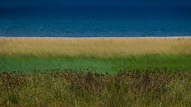 Striped natural landscape consisting of horizontal Lake Baikal water line, rocky shore, various yellow and green herbs with wild flowers. Selective focus, blurred backdrop. Colorful ecology concept