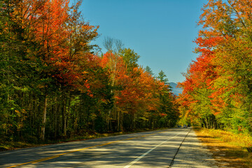 A road among a colorful autumn forest leading to the mountains on a sunny warm autumn day. Traveling around the USA.