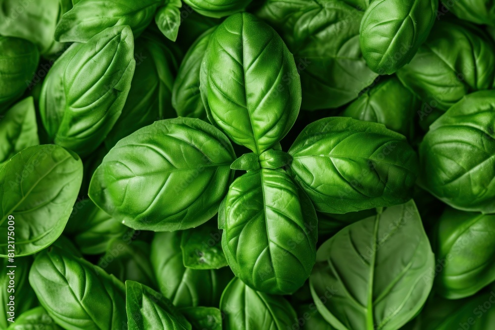 Poster cool basil leaves background. salad macro. generate ai