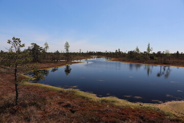 Park Narodowy Kemeri - Łotwa