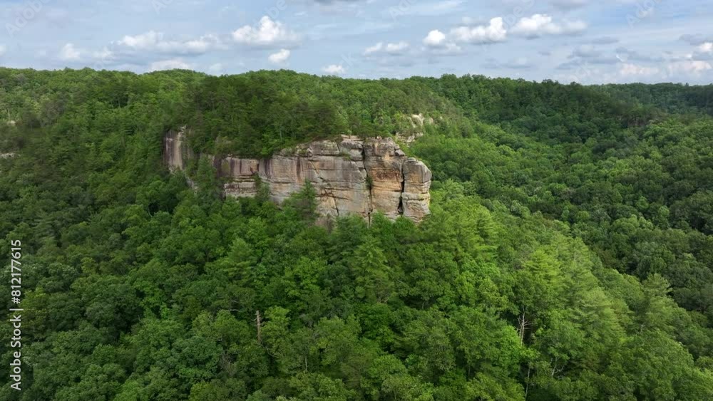 Poster aerial drone view over kentucky forest