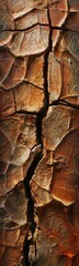 Cracks in the bark of a tree trunk