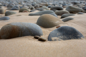 Galet sur la plage de sable