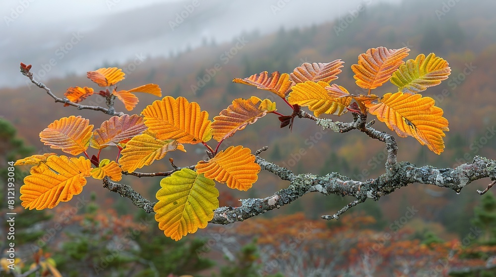 Poster a close-up of a yellow and red leafed tree branch in the foreground with a mountain in the backgroun