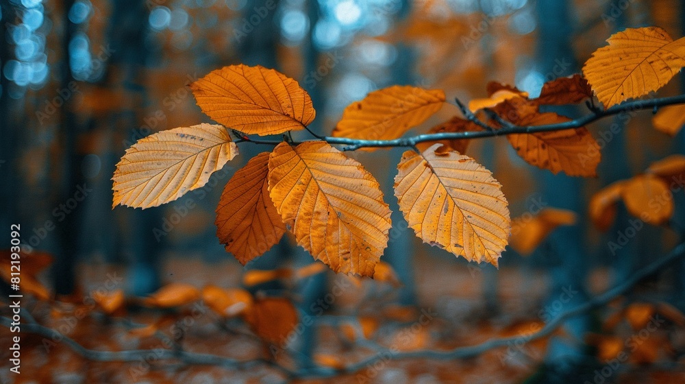 Poster a tree with vibrant yellow foliage in the foreground against a hazy backdrop of trees and foliage