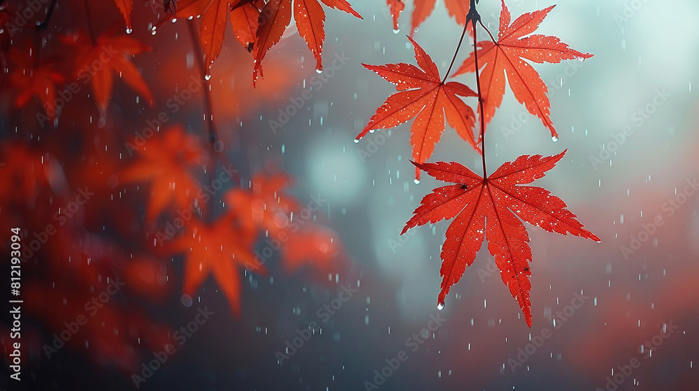 Aufkleber a red maple leaf dangling from a tree limb amidst the raindrops the fuzzy backdrop adds to its allur