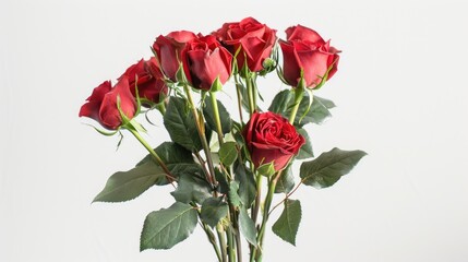 Naklejka premium A stunning bunch of red roses set against a white background