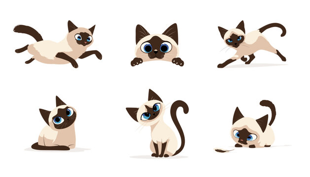 Set of Thai kittens, vector illustration