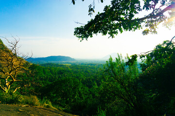 A bird's-eye view of the lush rainforests of northern Sri-Lanka.