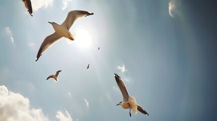 family of seagulls soaring overhead