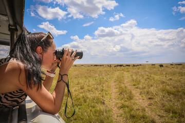 A girl observing a grazing herd of buffaloes through binoculars in the Masai Mara National Park, Kenya.