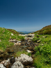A stream of water flows through a rocky area with grass and flowers. The water is clear and the grass is lush and green. The scene is peaceful and serene during a clear summer day.