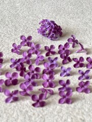 lilac, lilac on the table, background 