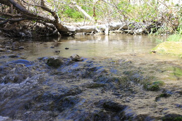 Cueva del Agua Tiscar, Jaén, 2017 - 38
