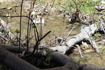 Cueva del Agua Tiscar, Jaén, 2017 - 34