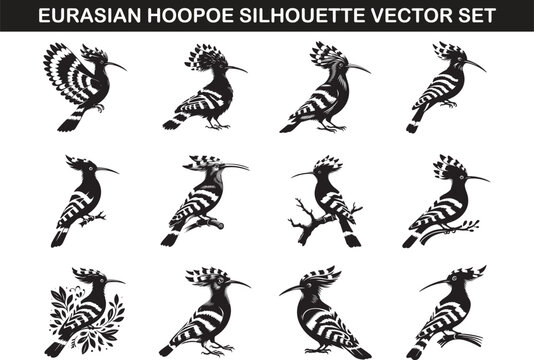Eurasian Hoopoe Bird Silhouette Vector Illustration Set