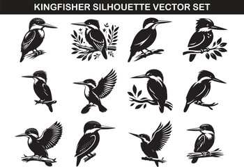 Kingfisher Bird Silhouette Vector Illustration Set
