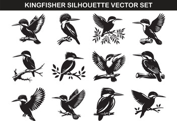 Kingfisher Bird Silhouette Vector Illustration Set
