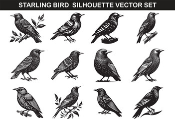 Starling Bird Silhouette Vector Illustration Set