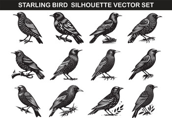 Starling Bird Silhouette Vector Illustration Set