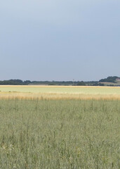 A field in Kashubia.