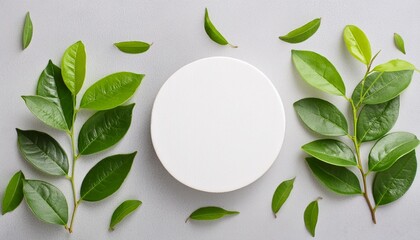 empty round podium and green leaves on light grey background top view pedestal and fresh natural branches for cosmetic marketing eco product presentation or sale mockup top view minimal flat lay