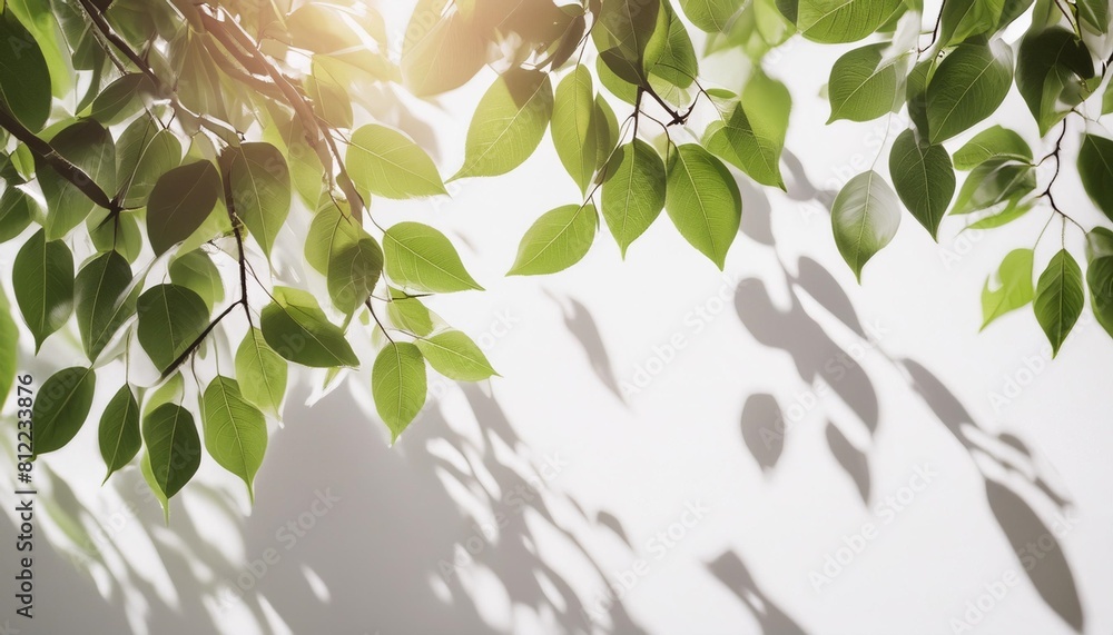 Wall mural 3d render natural background concept close up of beautiful tree branches with sunlight foliage leave