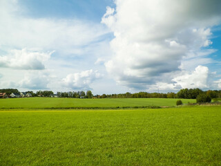 Green field in the Kashubian countryside. Poland.