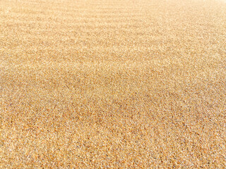 Fototapeta premium Clean sand on the beach on the summer with slight wave dunes. Background blur, bokeh. Selective focus.
