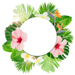 Tropical leaves and flowers over transparent background 