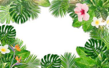 Obraz premium Tropical leaves and flowers over transparent background 