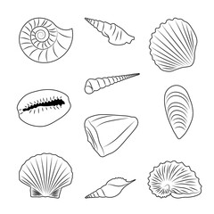 Set of seashells outlines