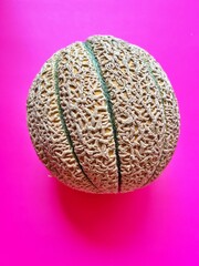 melon, round melon on a pink background, fresh fruit, healthy food, rough melon peel