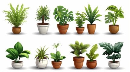 Home potted plants. Cartoon houseplants in pots for interior. Decorative monstera, palm in pot, ficus in basket, pilea in vase. Indoor green plants, foliage, leaves 3D avatars set vector icon, white b