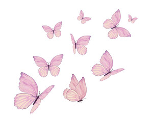 butterfly vector watercolor	