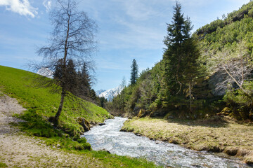 Gebirgsbach in den frühlingshaften Bergen des Zillertal