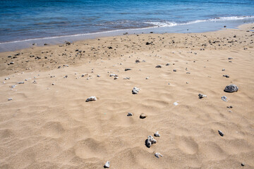 White, sun bleached, coral on fine golden sand on a tropical beach, as a nature background
