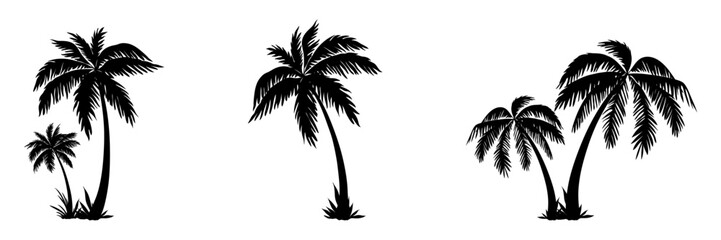 tropical coconut, palm tree silhouette