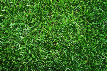 Top view of green artificial grass texture and background. Artificial Turf grass of decorative in the garden, football field and golf course. Green background and wallpaper.