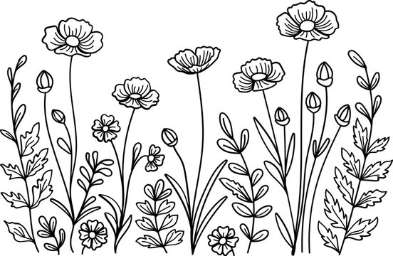 Wildflowers with Buttercup flowers 