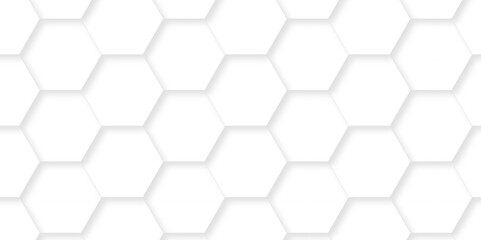 vector abstract pattern with hexagonal white and gray technology line paper background. Hexagonal 3d grid tile and mosaic structure mess cell. white and gray hexagon honeycomb geometric copy space.