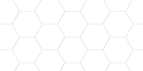 vector abstract pattern with hexagonal white and gray technology line paper background. Hexagonal 3d grid tile and mosaic structure mess cell. white and gray hexagon honeycomb geometric copy space.