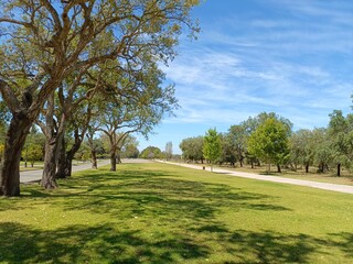 A beautiful and quiet place to enjoy nature and stunning green views