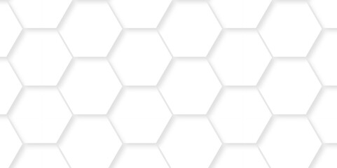 Vector abstract pattern with hexagonal white and gray technology line paper background. Hexagonal 3d grid tile and mosaic structure mess cell. white and gray hexagon honeycomb geometric copy space.