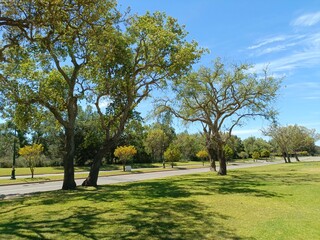A beautiful and quiet place to enjoy nature and stunning green views