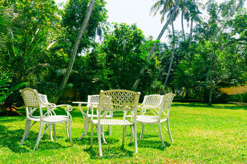 White chairs on backyard tropical garden