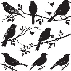 set of birds