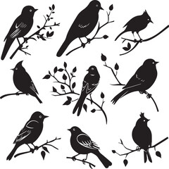 set of birds
